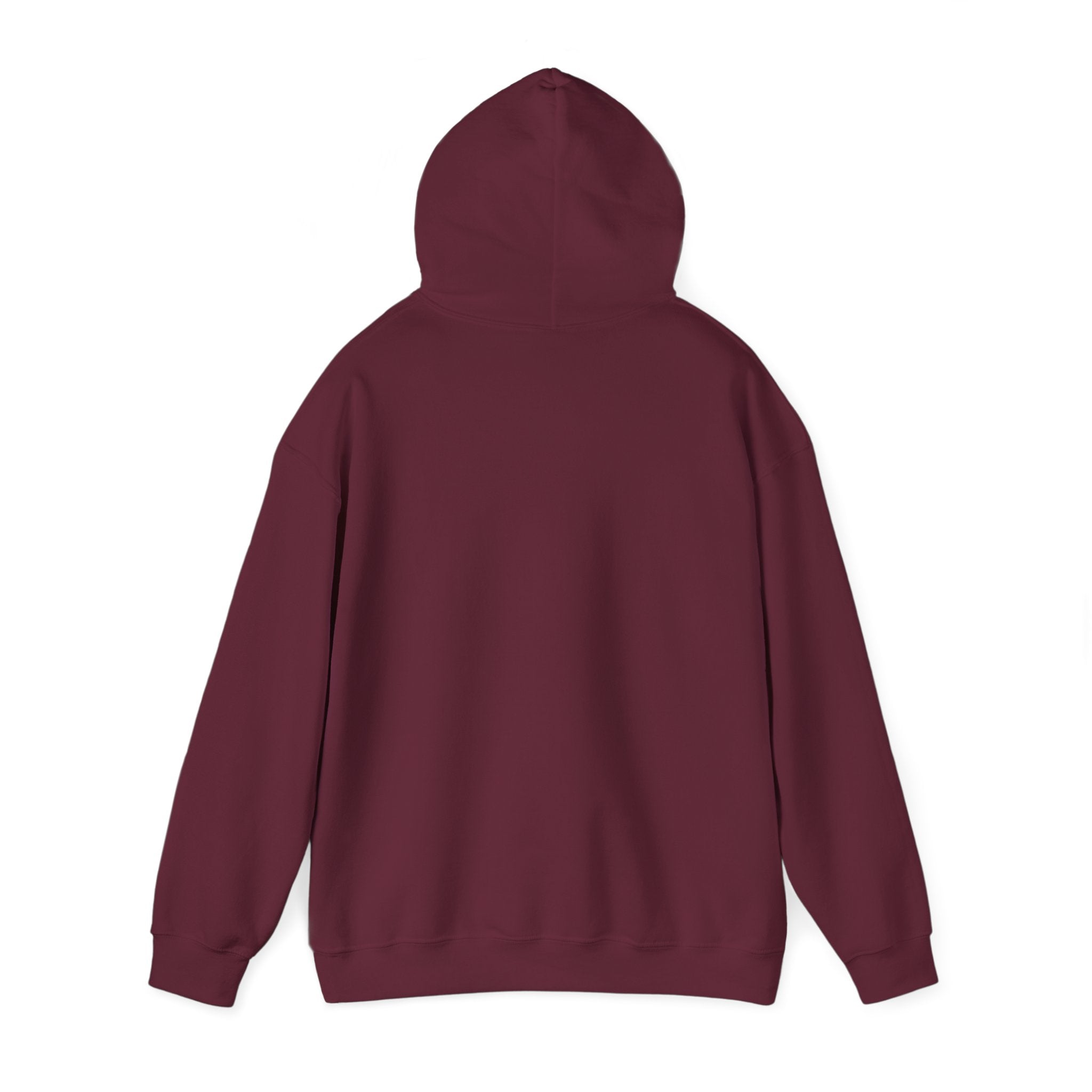 Hooded Sweatshirt - SEEK & SAVE Design