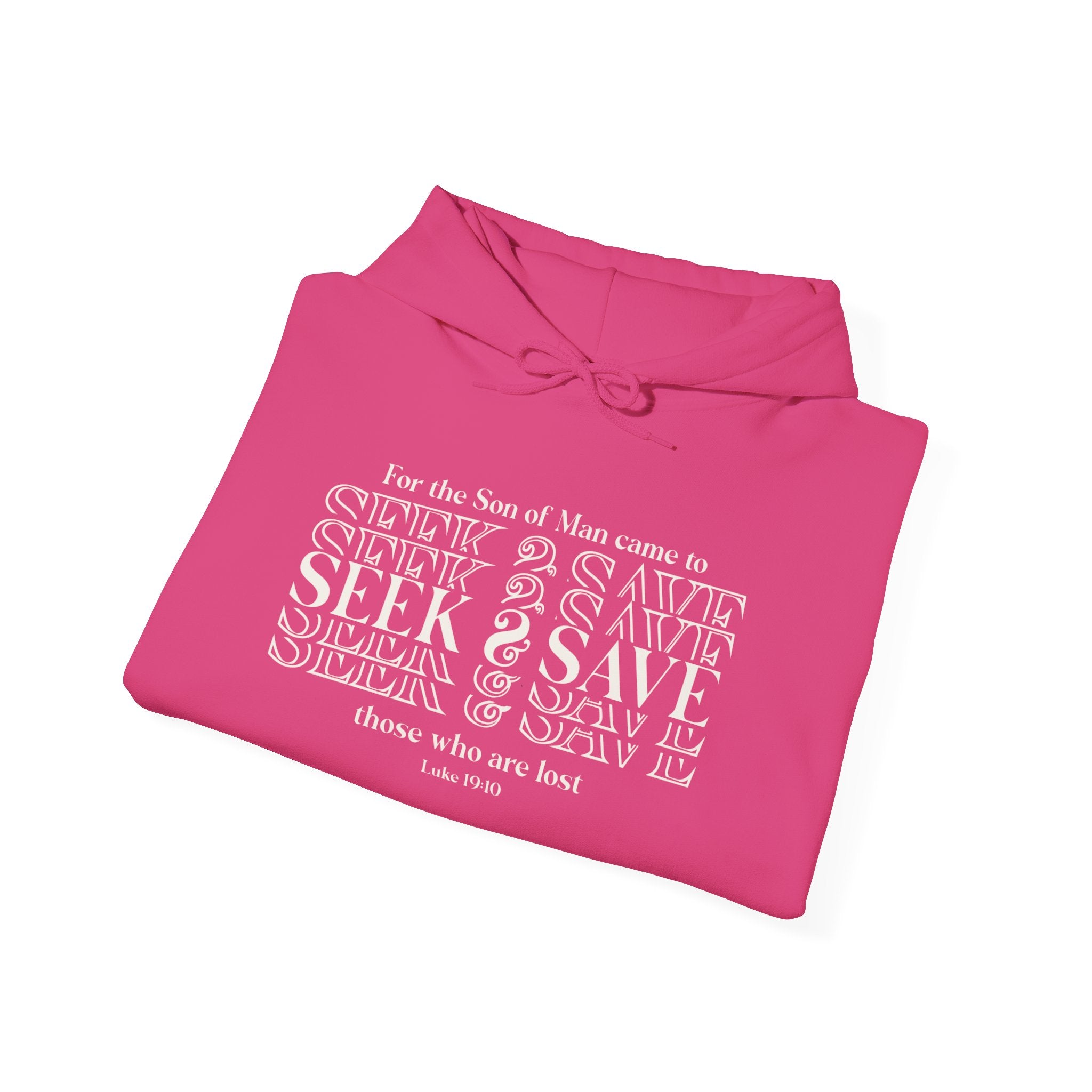 Hooded Sweatshirt - SEEK & SAVE Design