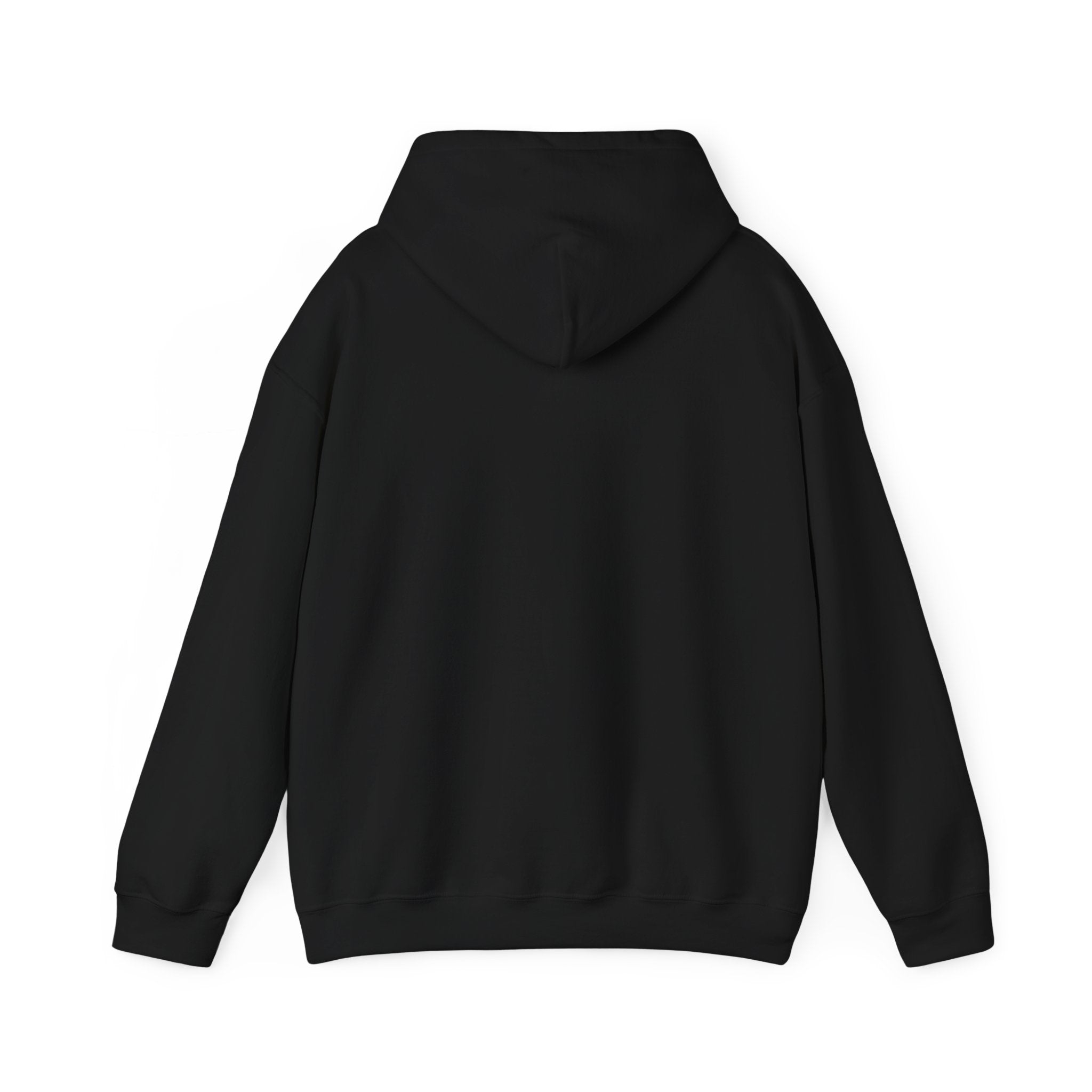 Hooded Sweatshirt - SEEK & SAVE Design