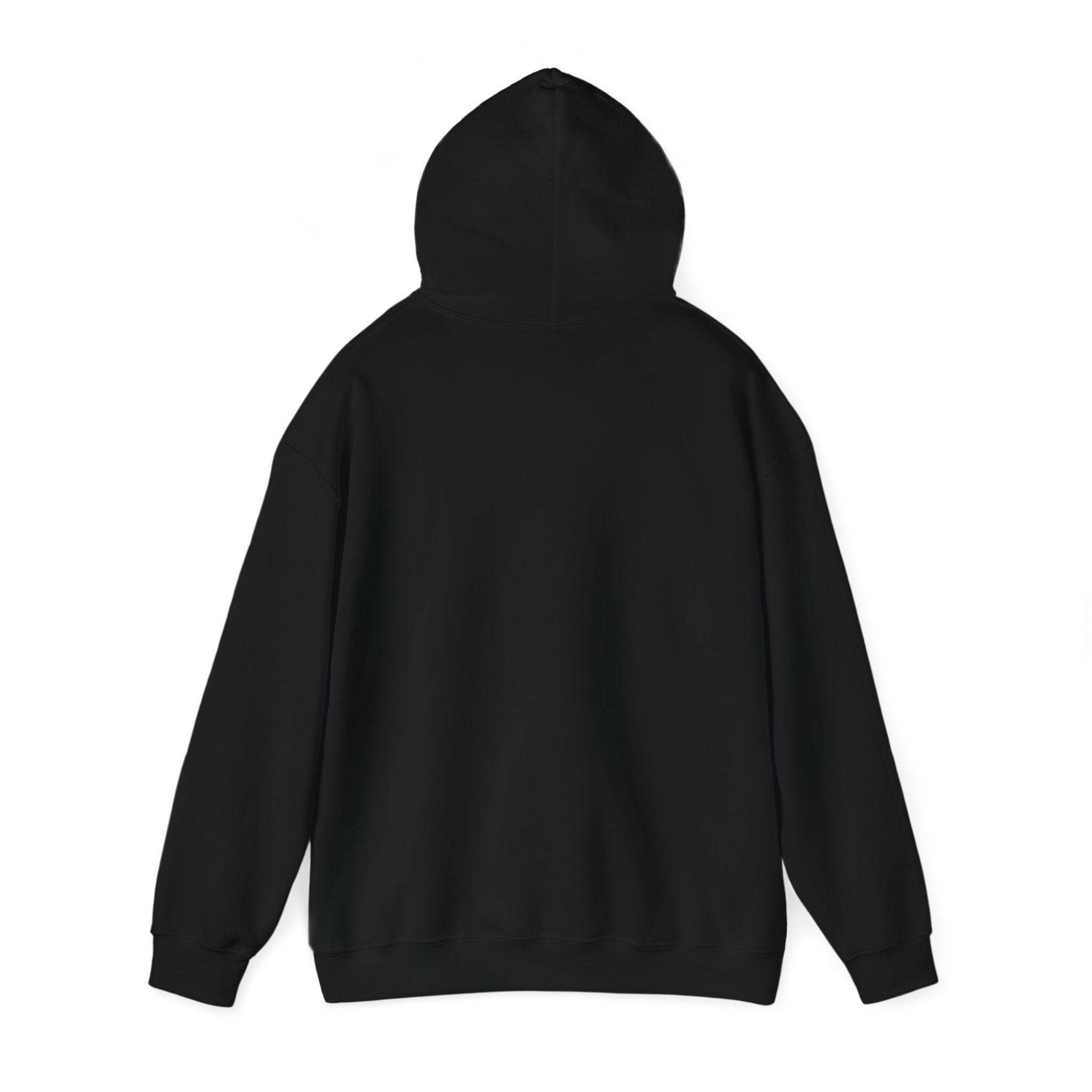 Hooded Sweatshirt - SEEK & SAVE Design