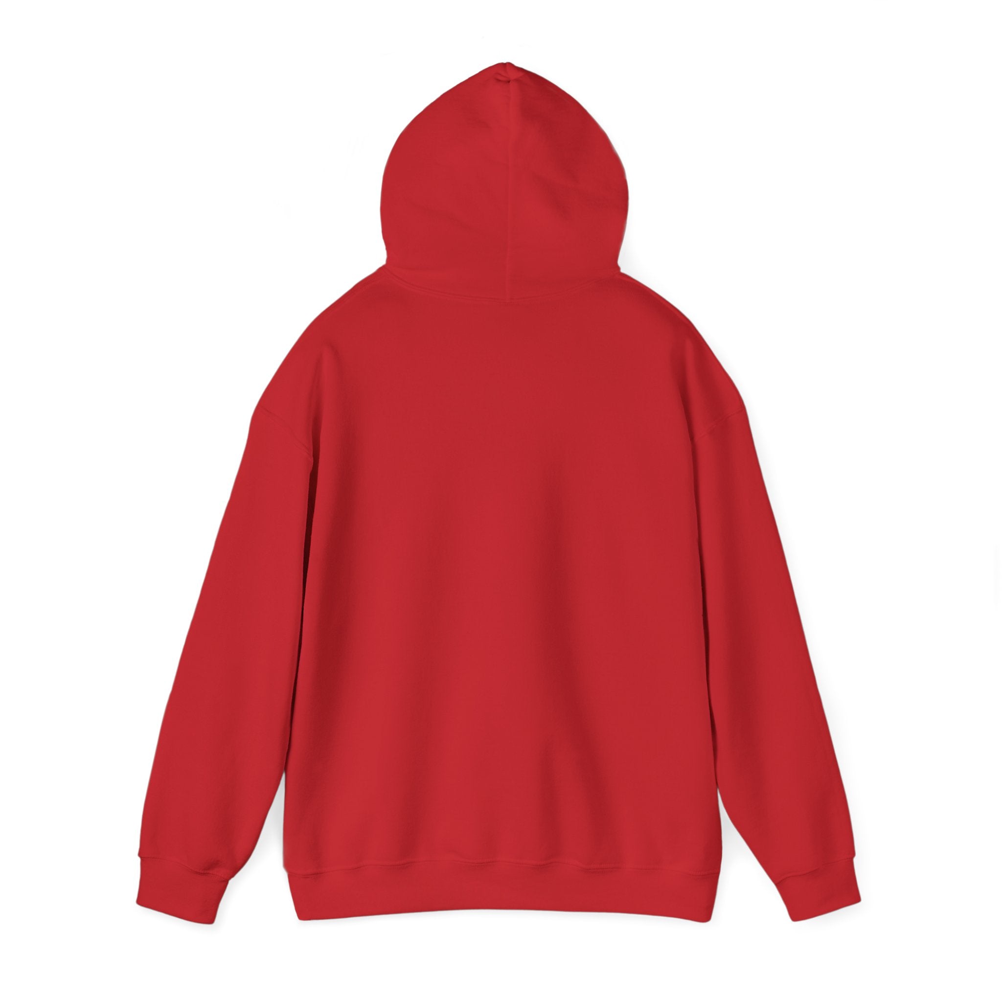 Hooded Sweatshirt - SEEK & SAVE Design